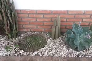 &ldquo;Al Dente&rdquo; Pastas y Pollos