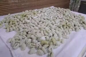 F&aacute;brica de pastas Alochis