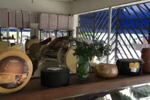 F&aacute;brica de pastas &ldquo;La Uno&rdquo;