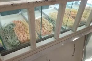 Fabrica de Pastas san jorge