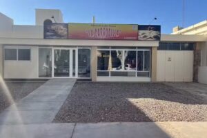 &rdquo; LA CARRODILLA &ldquo;