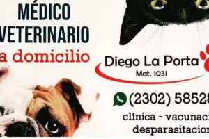 La flaca pastas y pizzas artesanales