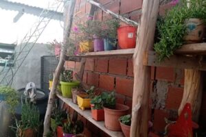 LP La Piamontesa de San Lorenzo S.R.L.