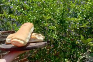 Pastas Do&ntilde;a Celia