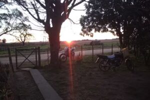 Romagnola Fabrica de Pastas Cieta