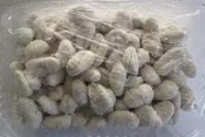 Ticino F&aacute;brica de Pastas Artesanales